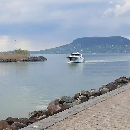 Livi Merevfalu Kerti Medencevel *