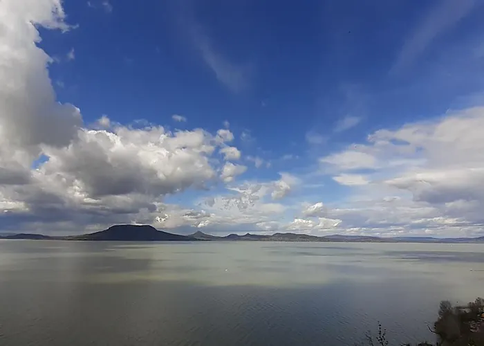 Livi Merevfalu Kerti Medencevel